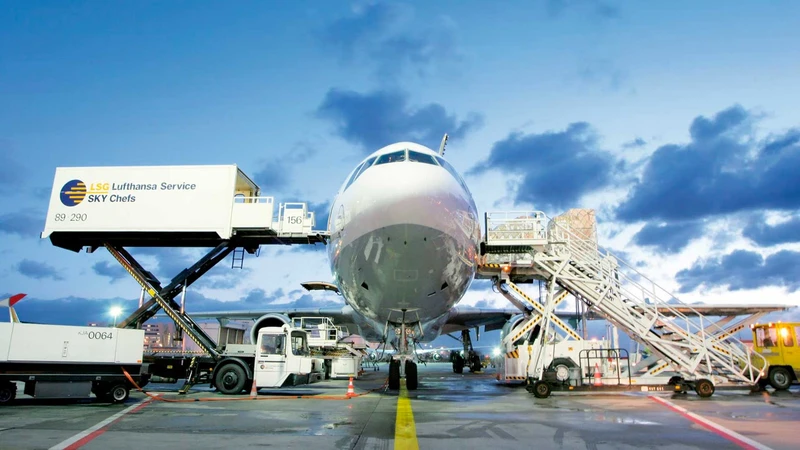 Varias compa��as tienen unidades de negocios espec�ficas de alto nivel y eficacia.